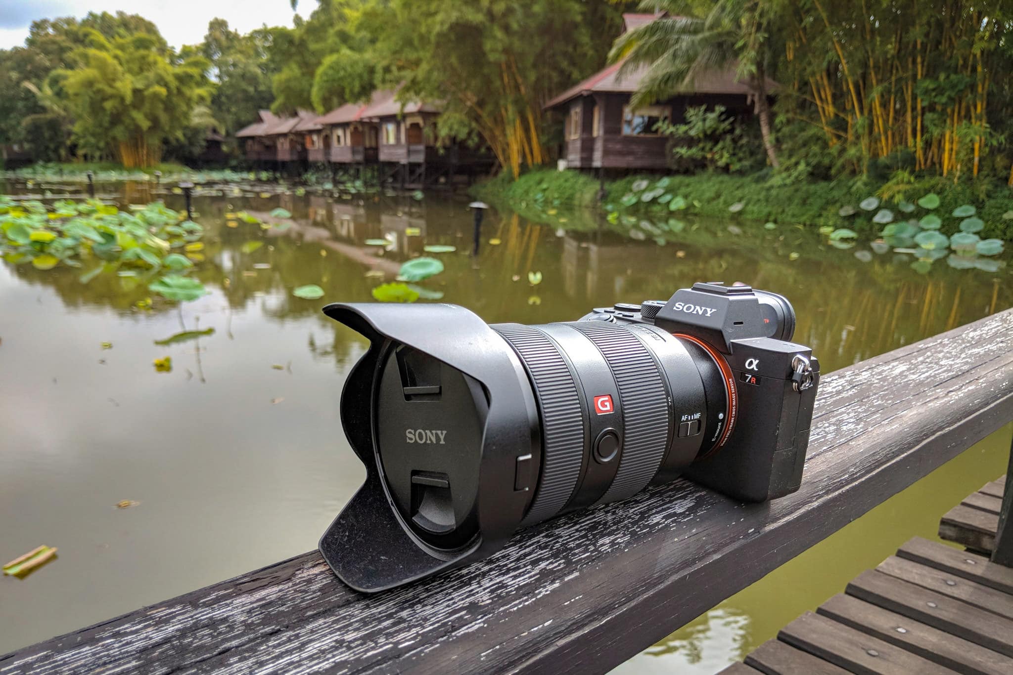 Tips & for Getting the Most Out Of Your Sony a7R III – Colby Photography