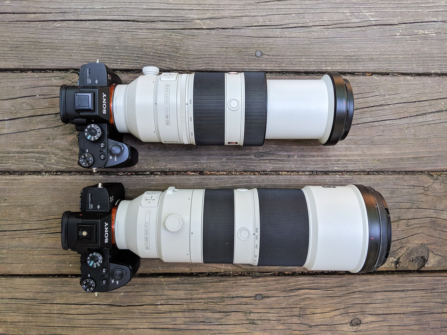 Sony 200-600mm Lens Review: Wildlife Photography Field Test