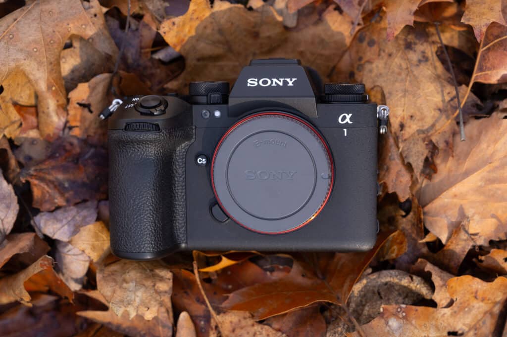 The Complete Setup Guide to the Sony a1 II